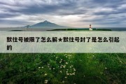 默往号被限了怎么解★默往号封了是怎么引起的