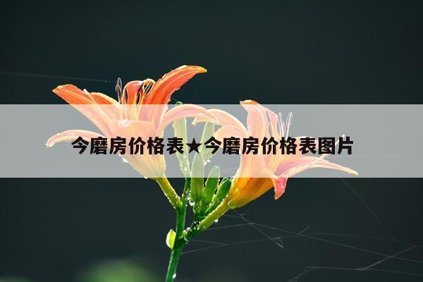今磨房价格表★今磨房价格表图片