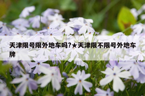 天津限号限外地车吗?★天津限不限号外地车牌