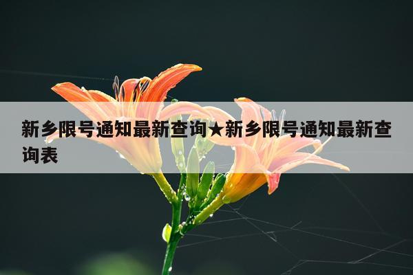 新乡限号通知最新查询★新乡限号通知最新查询表