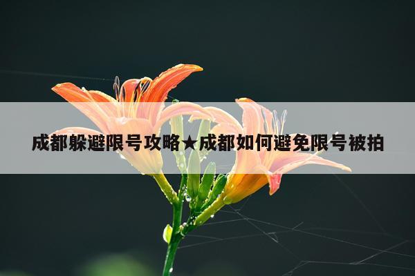 成都躲避限号攻略★成都如何避免限号被拍