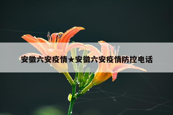 安徽六安疫情★安徽六安疫情防控电话