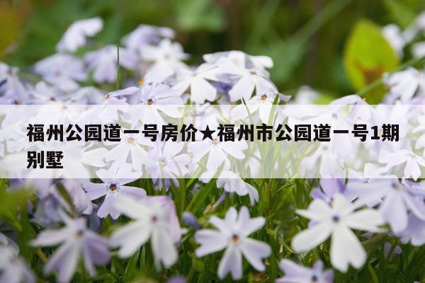 福州公园道一号房价★福州市公园道一号1期别墅