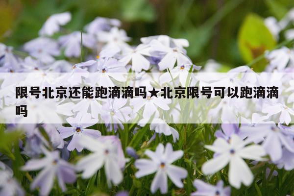 限号北京还能跑滴滴吗★北京限号可以跑滴滴吗