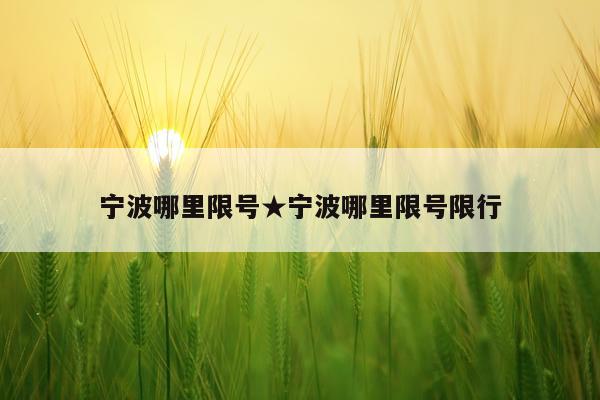 宁波哪里限号★宁波哪里限号限行