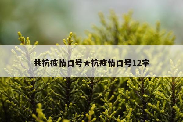 共抗疫情口号★抗疫情口号12字
