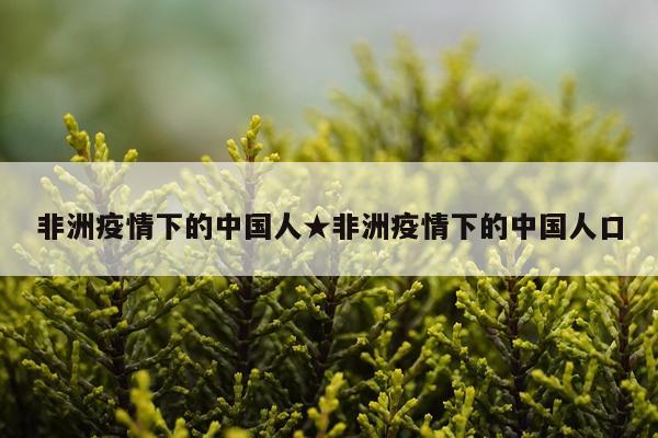 非洲疫情下的中国人★非洲疫情下的中国人口