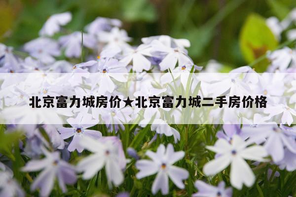 北京富力城房价★北京富力城二手房价格
