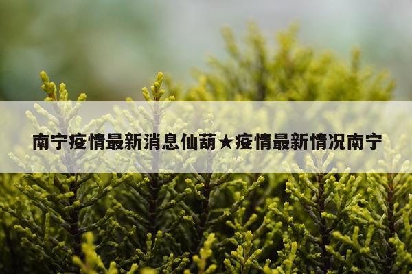 南宁疫情最新消息仙葫★疫情最新情况南宁