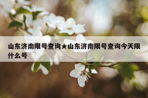 山东济南限号查询★山东济南限号查询今天限什么号