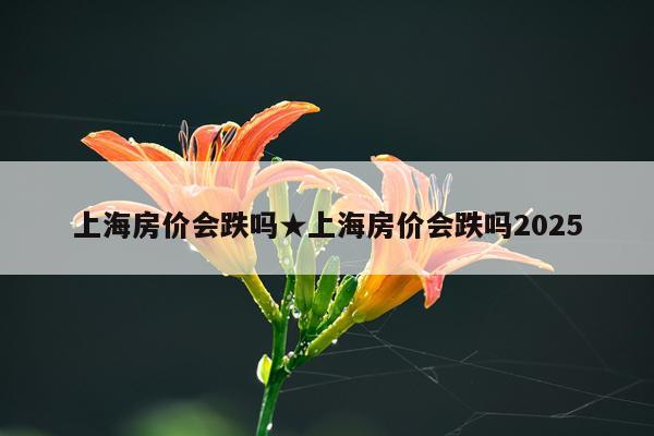 上海房价会跌吗★上海房价会跌吗2025