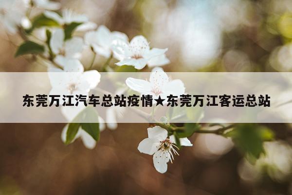 东莞万江汽车总站疫情★东莞万江客运总站