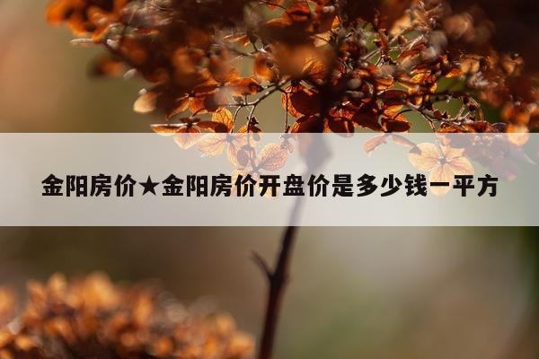 金阳房价★金阳房价开盘价是多少钱一平方