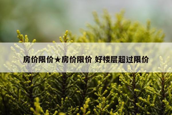 房价限价★房价限价 好楼层超过限价
