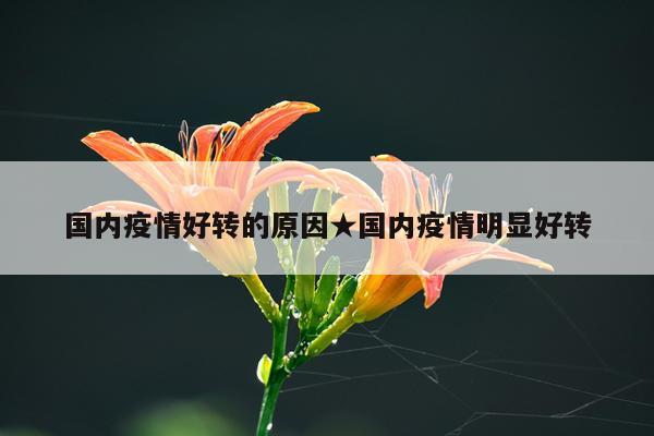 国内疫情好转的原因★国内疫情明显好转