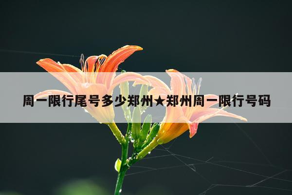 周一限行尾号多少郑州★郑州周一限行号码
