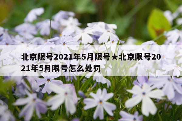 北京限号2021年5月限号★北京限号2021年5月限号怎么处罚