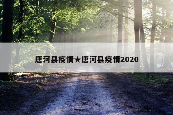 唐河县疫情★唐河县疫情2020