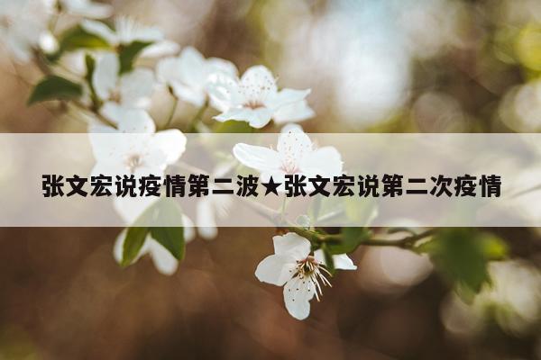 张文宏说疫情第二波★张文宏说第二次疫情