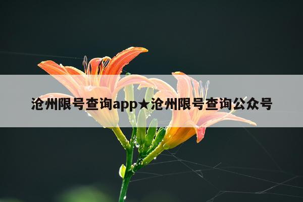 沧州限号查询app★沧州限号查询公众号