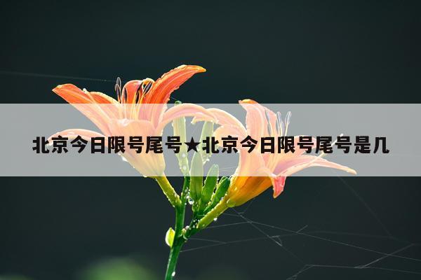 北京今日限号尾号★北京今日限号尾号是几