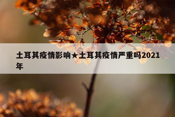 土耳其疫情影响★土耳其疫情严重吗2021年