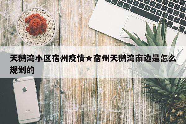 天鹅湾小区宿州疫情★宿州天鹅湾南边是怎么规划的