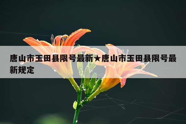 唐山市玉田县限号最新★唐山市玉田县限号最新规定