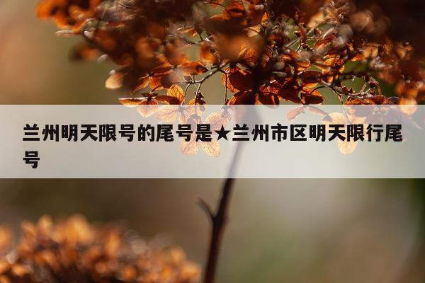 兰州明天限号的尾号是★兰州市区明天限行尾号