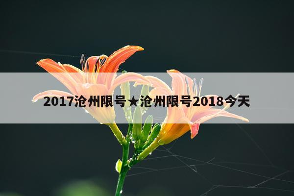 2017沧州限号★沧州限号2018今天