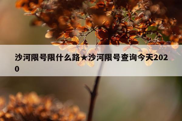 沙河限号限什么路★沙河限号查询今天2020