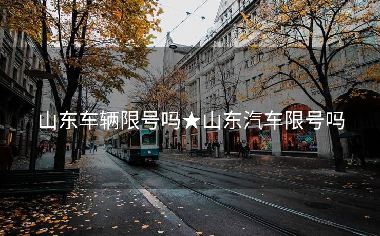 山东车辆限号吗★山东汽车限号吗