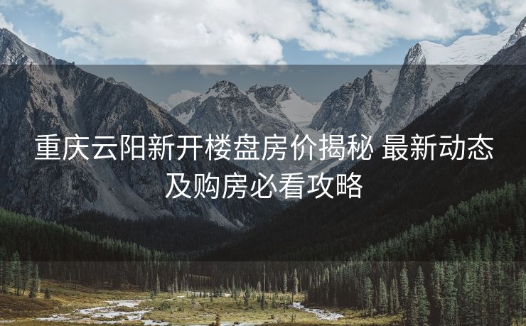 重庆云阳新开楼盘房价揭秘 最新动态及购房必看攻略