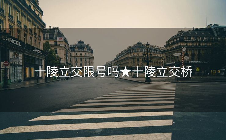 十陵立交限号吗★十陵立交桥
