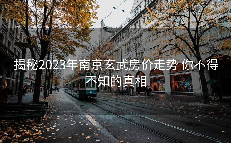 揭秘2023年南京玄武房价走势 你不得不知的真相
