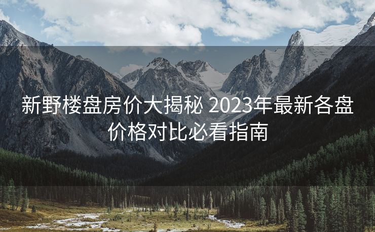 新野楼盘房价大揭秘 2023年最新各盘价格对比必看指南