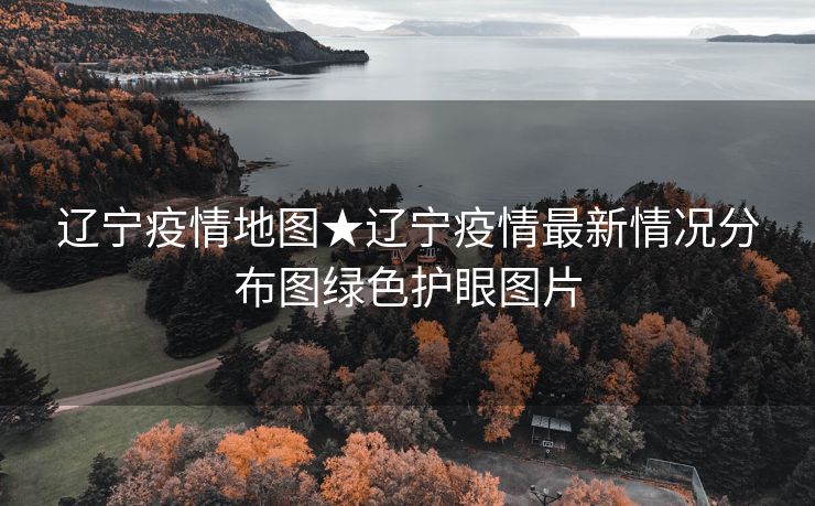 辽宁疫情地图★辽宁疫情最新情况分布图绿色护眼图片