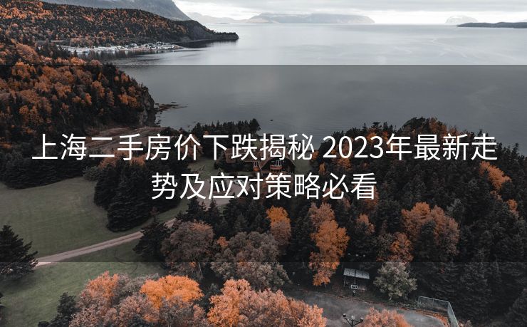 上海二手房价下跌揭秘 2023年最新走势及应对策略必看