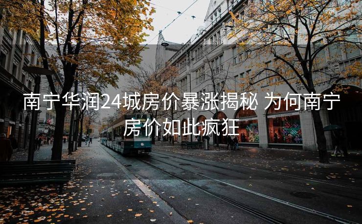 南宁华润24城房价暴涨揭秘 为何南宁房价如此疯狂