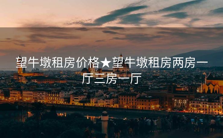 望牛墩租房价格★望牛墩租房两房一厅三房一厅