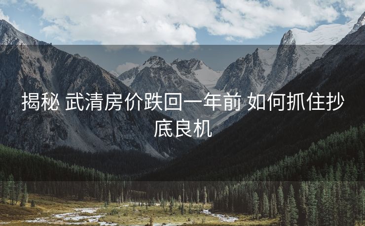 揭秘 武清房价跌回一年前 如何抓住抄底良机