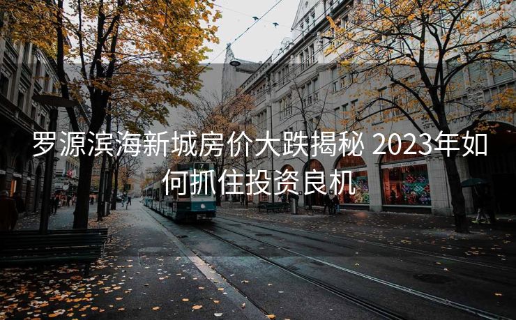 罗源滨海新城房价大跌揭秘 2023年如何抓住投资良机